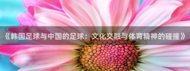 《韩国足球与中国的足球：文化交融与体育精神的碰撞》