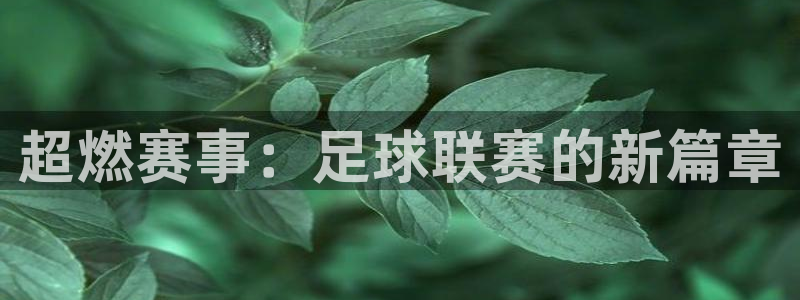  超燃赛事：足球联赛的新篇章