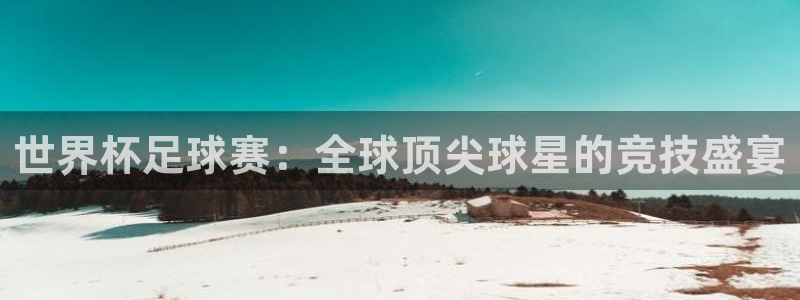 世界杯足球赛：全球顶尖球星的竞技盛宴