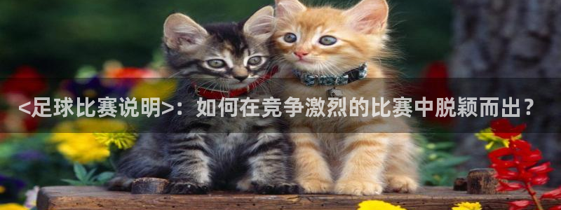  <足球比赛说明>：如何在竞争激烈的比赛中脱颖而出？