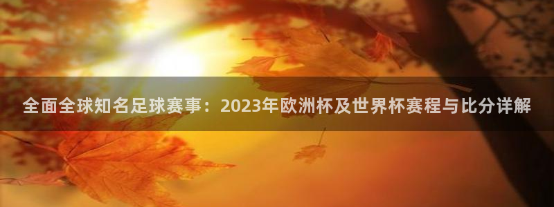 全面全球知名足球赛事：2023年欧洲杯及世界杯赛程与比分详解