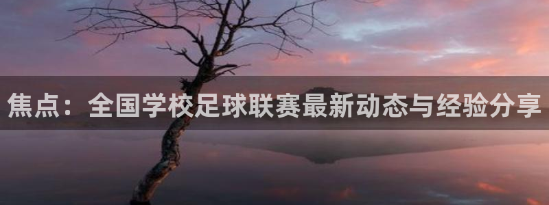 焦点：全国学校足球联赛最新动态与经验分享