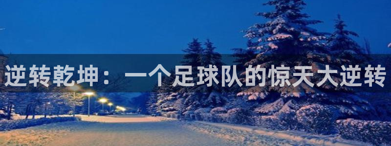  逆转乾坤：一个足球队的惊天大逆转