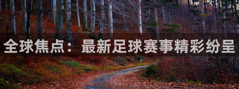全球焦点：最新足球赛事精彩纷呈
