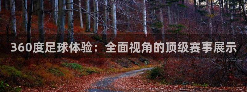 360度足球体验：全面视角的顶级赛事展示