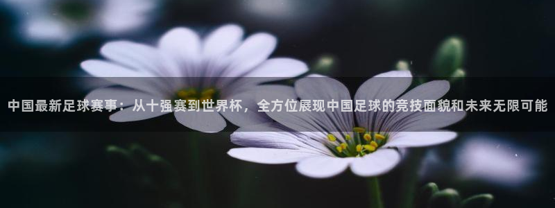 中国最新足球赛事：从十强赛到世界杯，