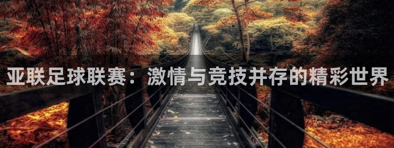 亚联足球联赛：激情与竞技并存的精彩世