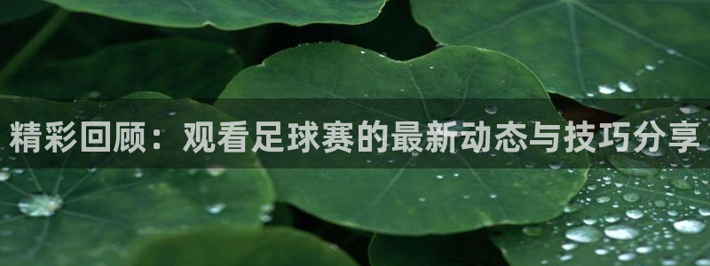 精彩回顾：观看足球赛的最新动态与技巧