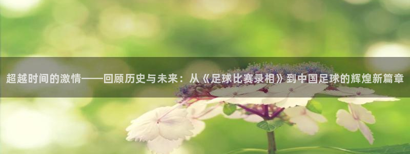 超越时间的激情——回顾历史与未来：从