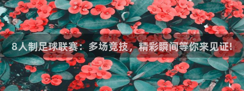 8人制足球联赛：多场竞技，精彩瞬间等你来见证!