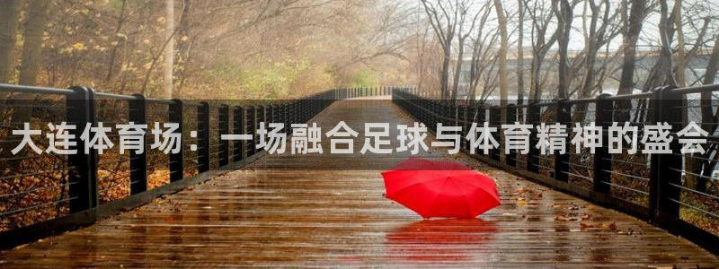 大连体育场：一场融合足球与体育精神的