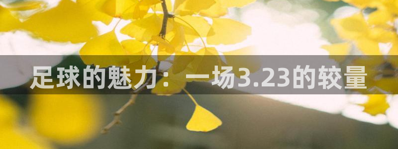 足球的魅力：一场3.23的较量