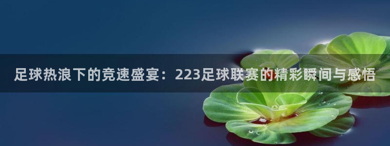 足球热浪下的竞速盛宴：223足球联赛的精彩瞬间与感悟