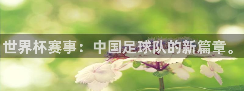 世界杯赛事：中国足球队的新篇章。