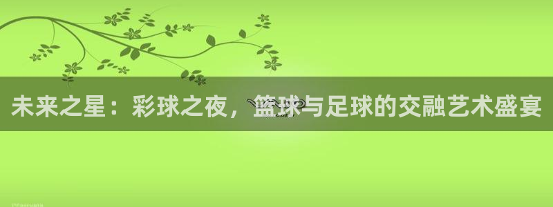 未来之星：彩球之夜，篮球与足球的交融