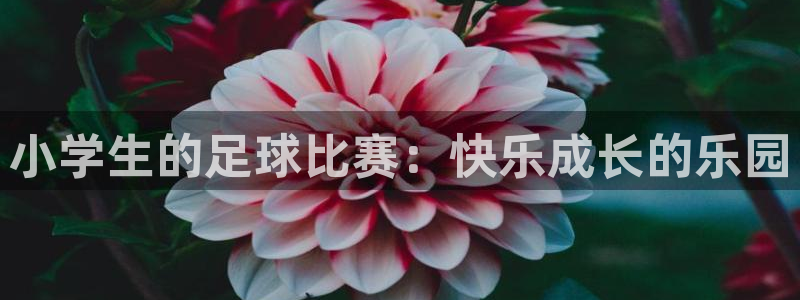 小学生的足球比赛：快乐成长的乐园
