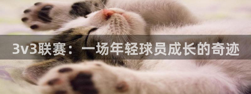 3v3联赛：一场年轻球员成长的奇迹