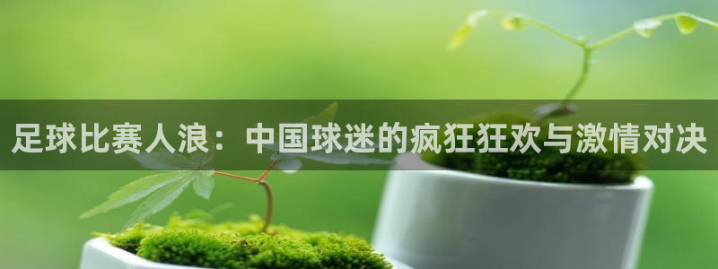 足球比赛人浪：中国球迷的疯狂狂欢与激