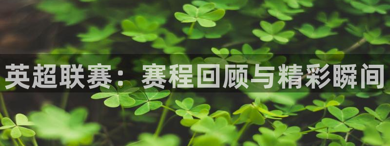 英超联赛：赛程回顾与精彩瞬间